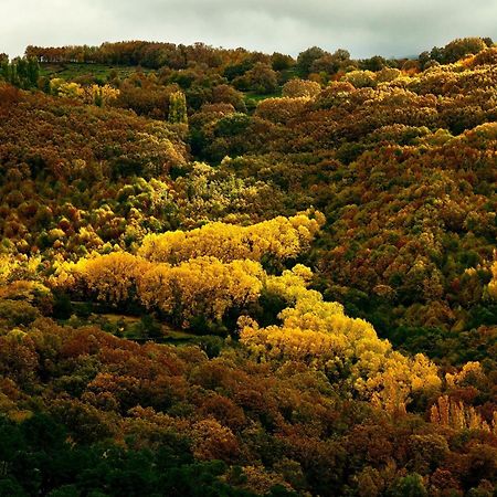 Aroma De Primavera En Casas Rurales Acebuche Casas del Monte Bagian luar foto