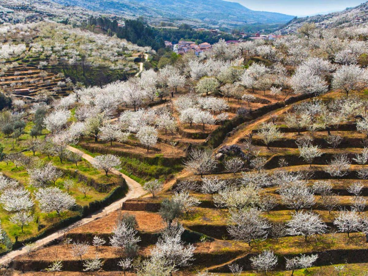 Aroma De Primavera En Casas Rurales Acebuche Casas del Monte Bagian luar foto