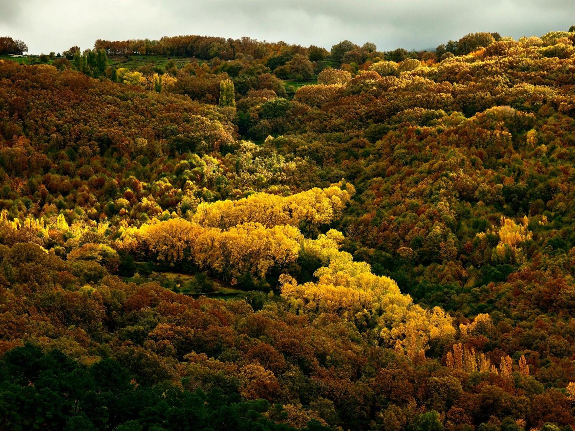 Aroma De Primavera En Casas Rurales Acebuche Casas del Monte Bagian luar foto