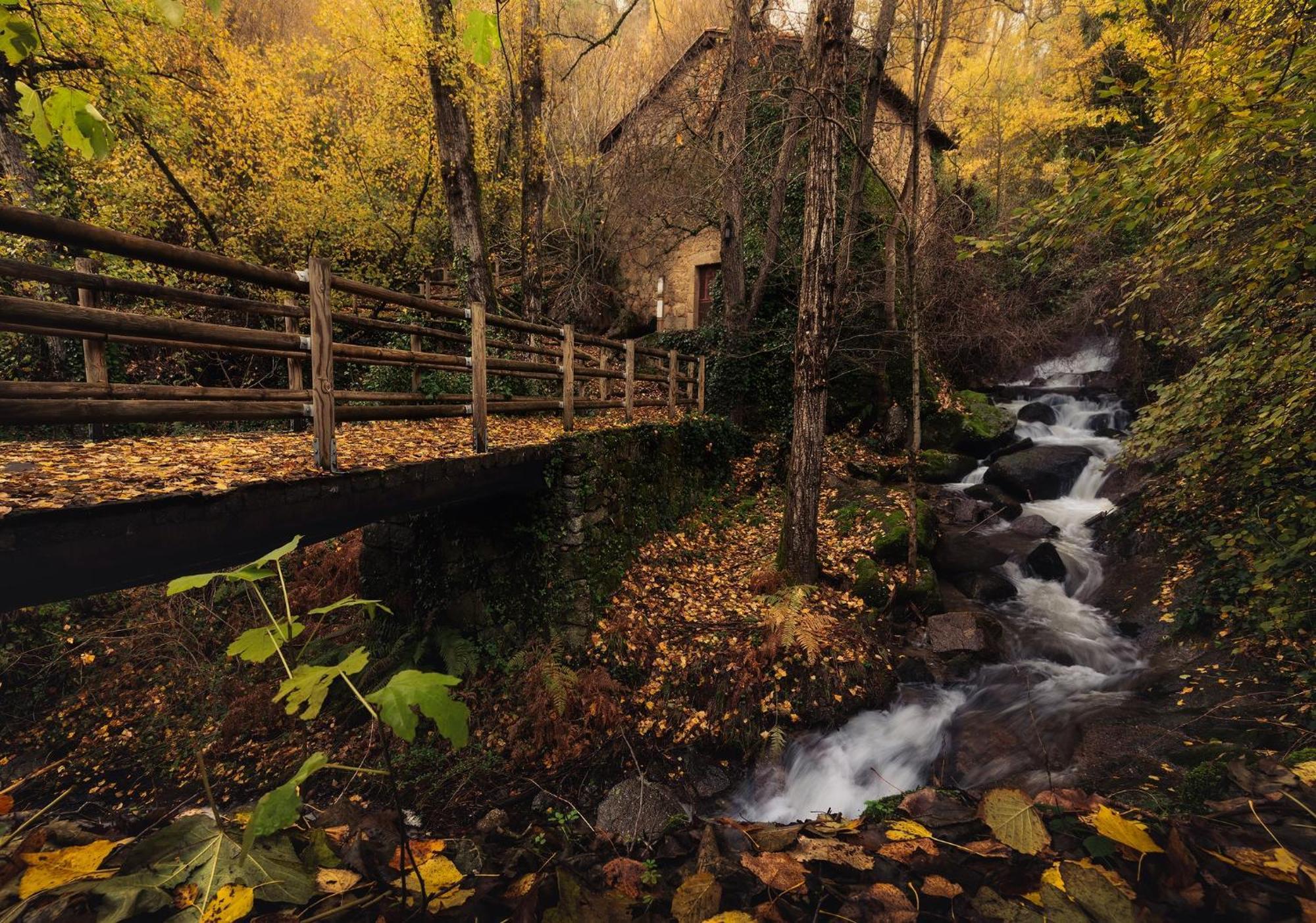 Aroma De Primavera En Casas Rurales Acebuche Casas del Monte Bagian luar foto