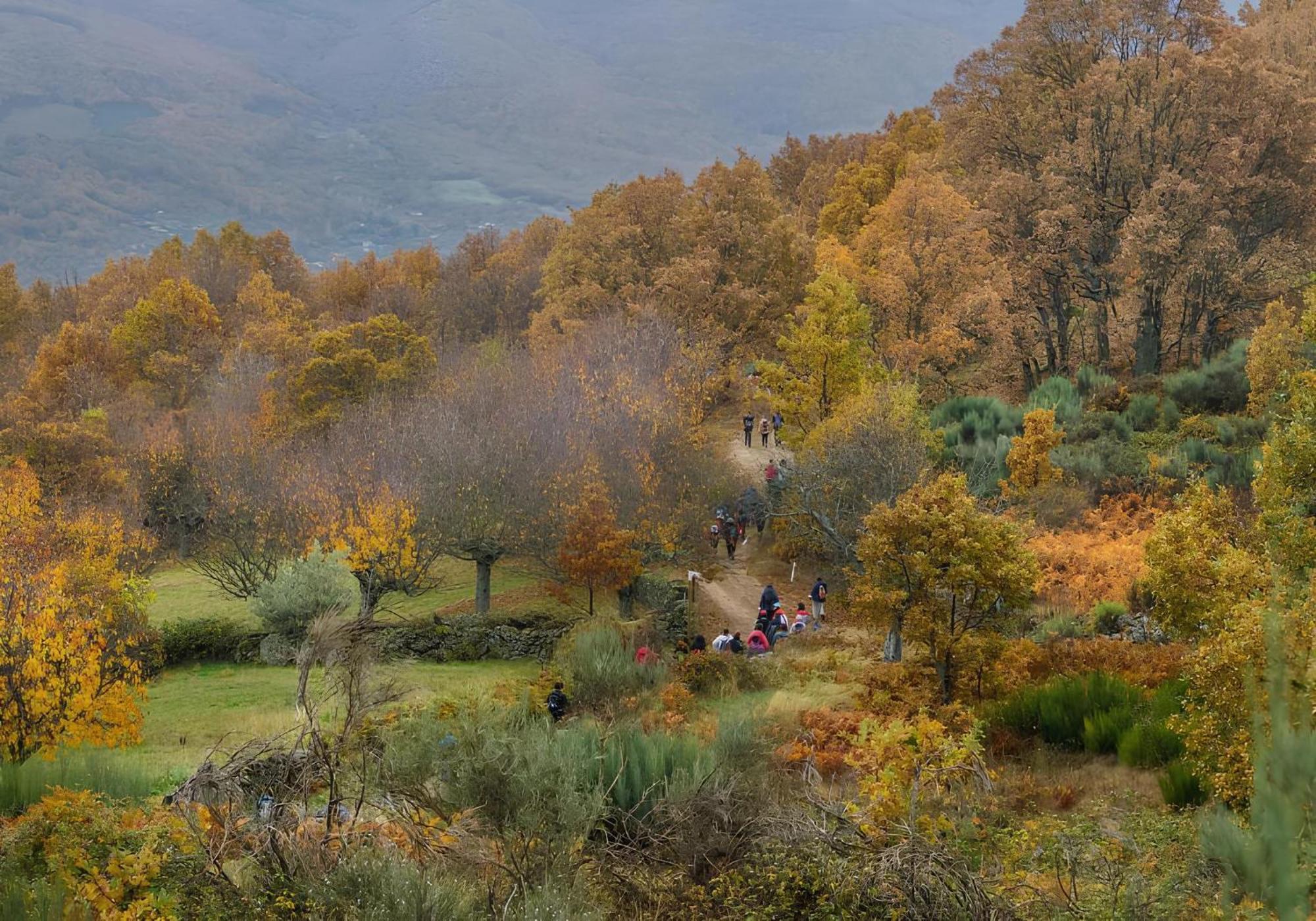 Aroma De Primavera En Casas Rurales Acebuche Casas del Monte Bagian luar foto